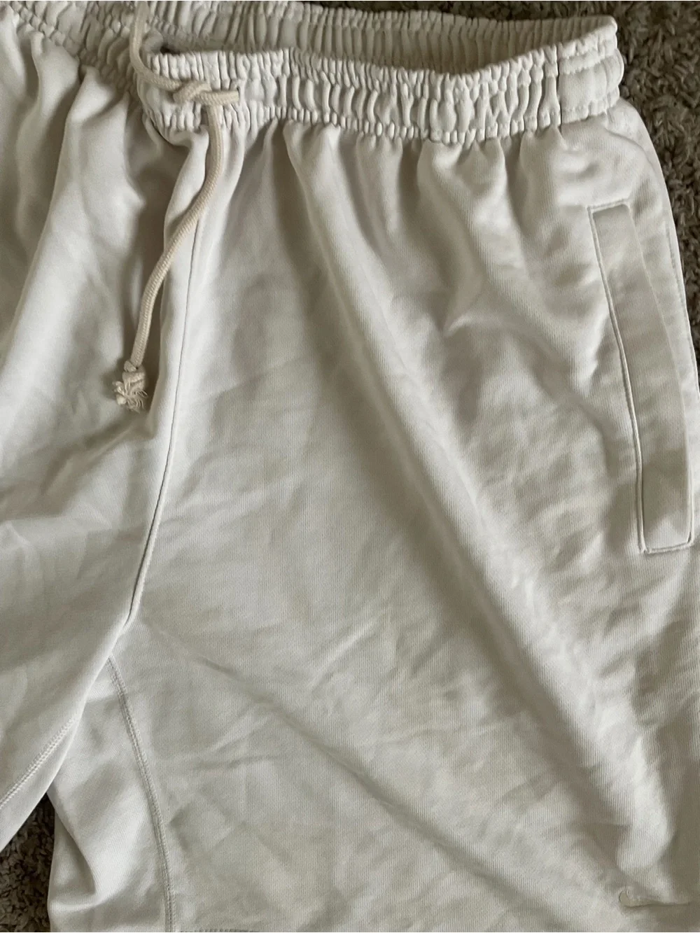 Nike Standard Issue Men's size XL pre own DQ5712-030 Terry Knit Shorts Zip Pocke